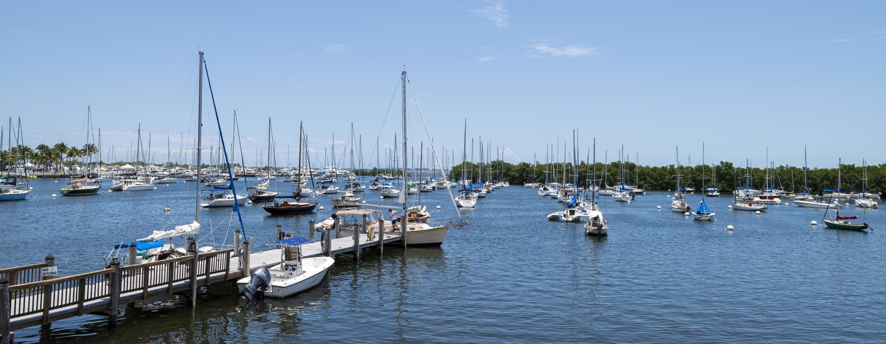 a dock with many boats in a harbor