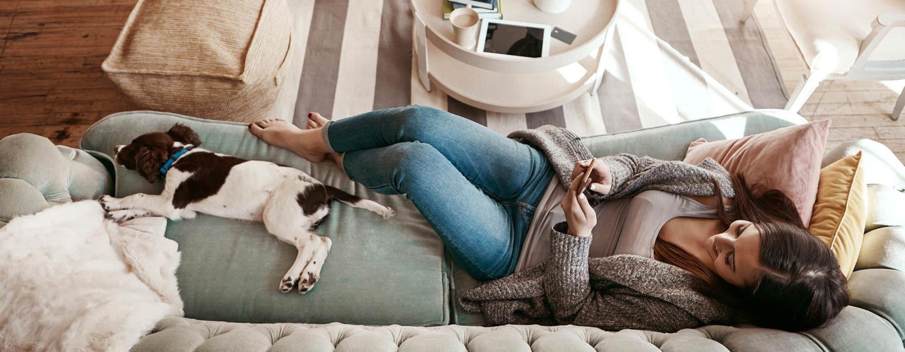 overhead view of  a woman texting as she lies on a couch with a dog at her feet